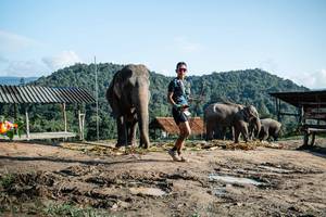 BIB: 
                            <button type="button" onclick="openModal(22422923)" class="btn btn-primary btn-sm float-right btn-popup" data-toggle="modal" data-target=".modal-high-quality">
                        <i class="fas fa-shopping-cart"></i> Add to Cart
                    </button>
                                            <button type="button" onclick="isThisMe(22422923, true)" class="btn btn-success btn-sm float-right btn-popup btn-isme hidden" data-toggle="tooltip" data-placement="bottom" title="นี่คือรูปของคุณใช่ไหม คลิกที่นี่เพื่อเอาเข้าอัลบั้ม">
                        <i class="fas fa-plus"></i> Add to album
                    </button>
                    <button type="button" onclick="isThisMe(22422923, false)" class="btn btn-warning btn-sm float-right btn-popup btn-isnotme hidden">
                        <i class="fas fa-ban"></i> Remove from album
                    </button>